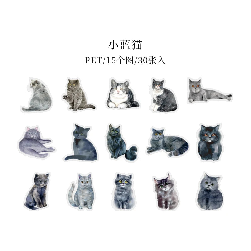 Kawaii Cat Theme Sticker Pack (30pcs) — Aesthetic PET Cartoon Decals for Junk Journals, Planners & DIY