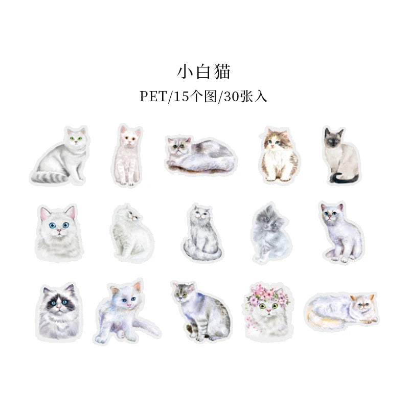 Kawaii Cat Theme Sticker Pack (30pcs) — Aesthetic PET Cartoon Decals for Junk Journals, Planners & DIY