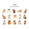 Kawaii Cat Theme Sticker Pack (30pcs) — Aesthetic PET Cartoon Decals for Junk Journals, Planners & DIY