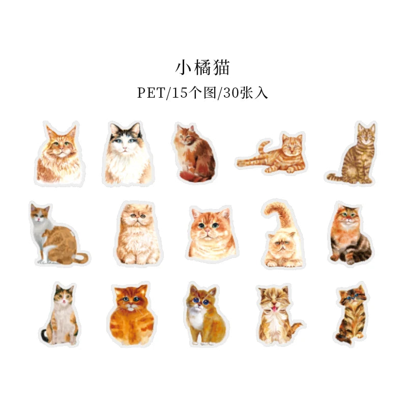 Kawaii Cat Theme Sticker Pack (30pcs) — Aesthetic PET Cartoon Decals for Junk Journals, Planners & DIY