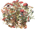 Mushroom & Plant Sticker Set (80pcs) — Vintage Nature PET Transparent Die-Cut Decals for Journaling & Scrapbooking